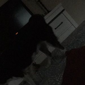 Meet your Posher, Selette